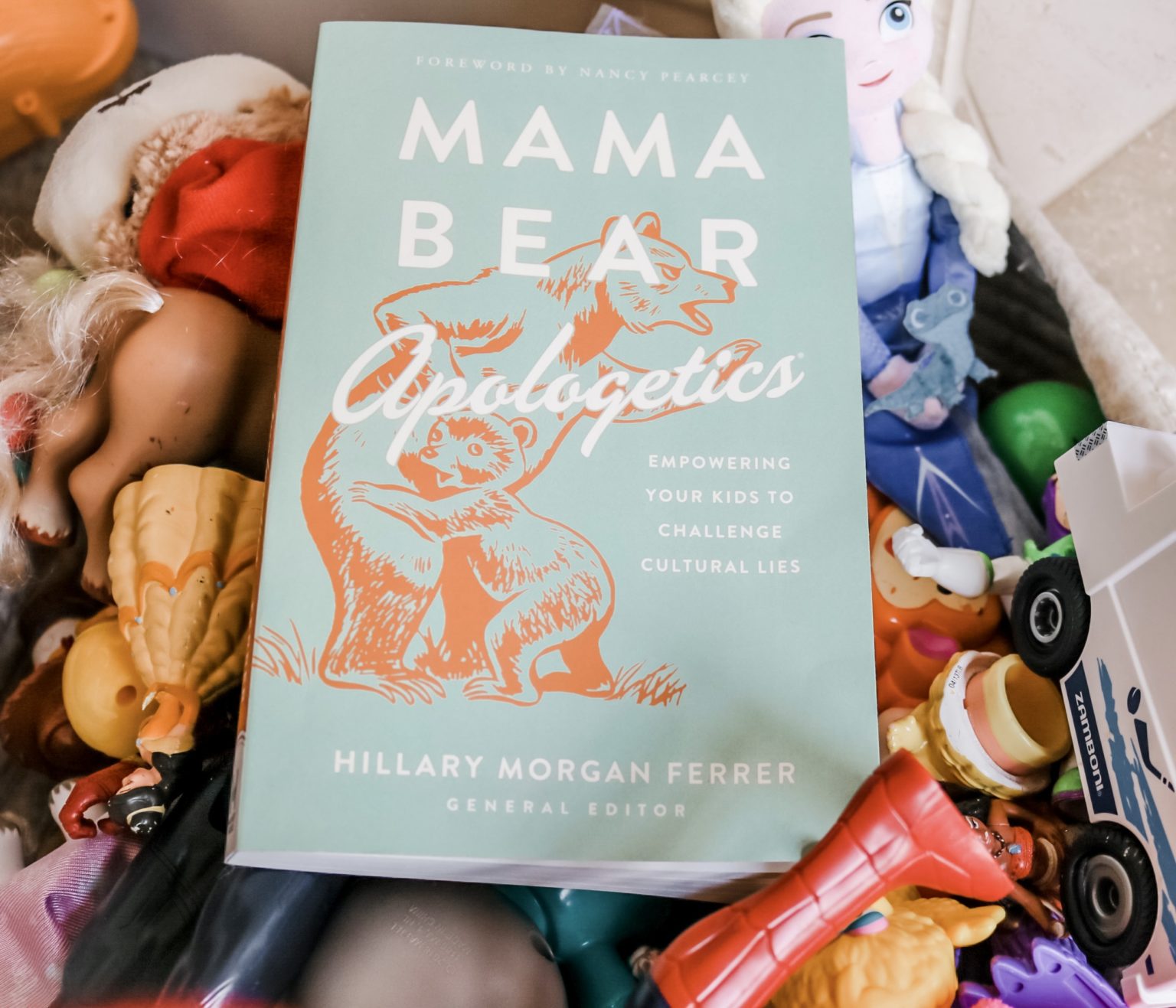 Book Review Mama Bear Apologetics 7563